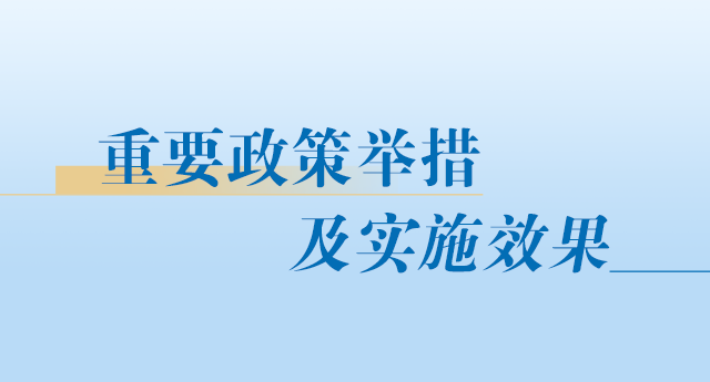 重要政策举措及实施效果